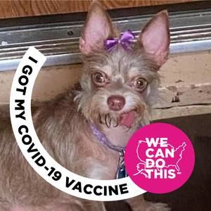 Meet your Posher, Suzanne